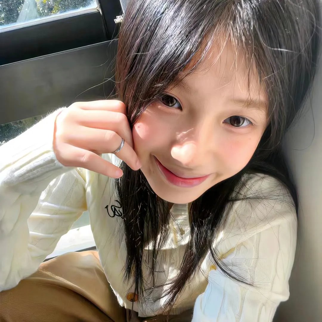 盗贼泰瑞莎